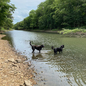 Meet your Posher, Kady